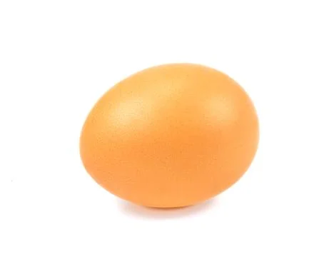 Lose up of an egg isolated on white background with clipping path Stock Photos