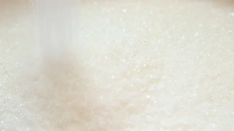 Loshka sugar. Nature selective focus. Stock Footage 150212988