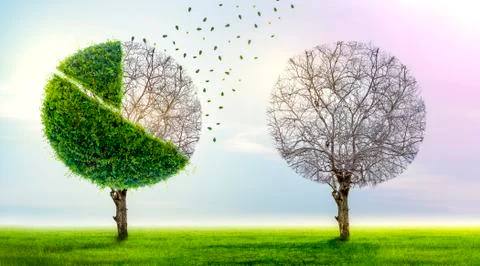 Loss of market share The pie chart is a growing green tree and falls into a b Stock Illustration