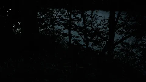 Lost around the river - Sci-fi horror drama docu footage Stock Footage 128859648