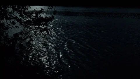 Lost around the river - Sci-fi horror drama docu footage 스톡 동영상 128859650