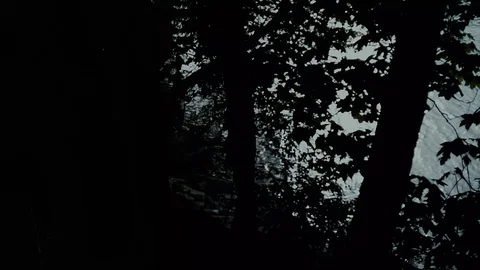 Lost around the river - Sci-fi horror drama docu footage Stock Footage 128859705