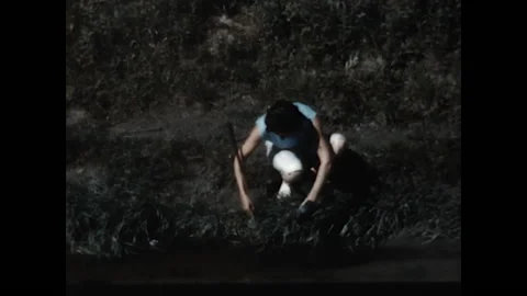 Lost Ball 1958 Stock Footage 147108508