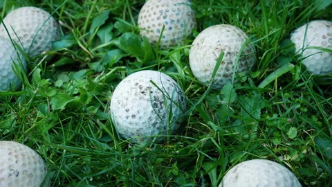 Lost Balls On Golf Course Stock Footage 246081504