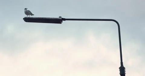 Lost Beachfront 4K 0001 Video stock 228920181