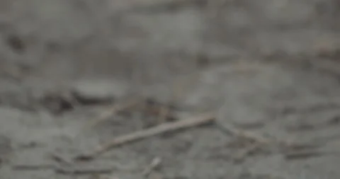 Lost Beachfront 4K 0003 Video stock 228937385