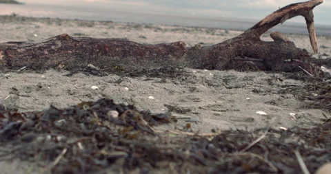 Lost Beachfront 4K 0004 Video stock 228937574