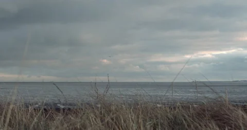 Lost Beachfront 4K 0005 Video stock 228938652