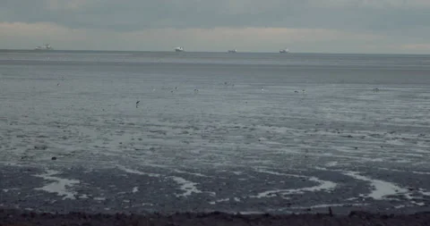 Lost Beachfront 4K 0006 Video stock 228937452