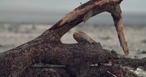 Lost Beachfront 4K 0007 Stock Footage 228928808