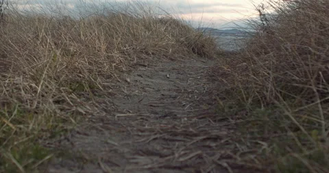 Lost Beachfront 4K 0009 Video stock 228928462