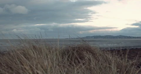 Lost Beachfront 4K 0011 Video stock 228938473