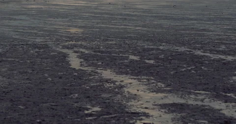 Lost Beachfront 4K 0012 Stock Footage 228938185