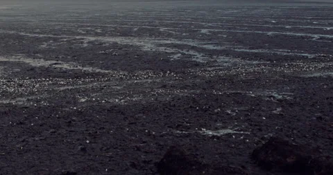 Lost Beachfront 4K 0013 Stock Footage 228935005