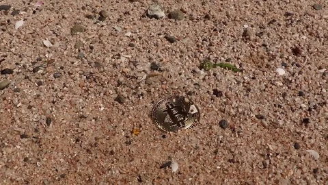 Lost Bitcoin In The Sand Being Revealed With Hand Then Covered Again Vídeo Stock 83192178
