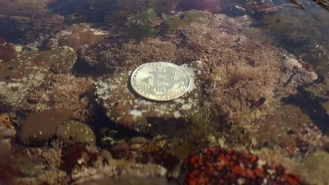 Lost Bitcoin Underwater Vídeo Stock 83192158