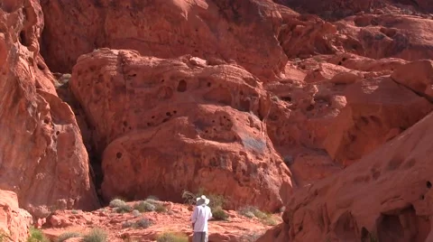 Lost in the canyon 스톡 동영상 50702462