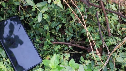 Lost cellphone Stock-Footage 334358277