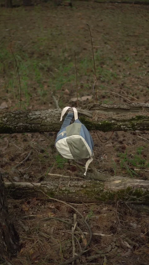 Lost Child Backpack Hanging on Fallen Tree in Forest 動画素材 343894549