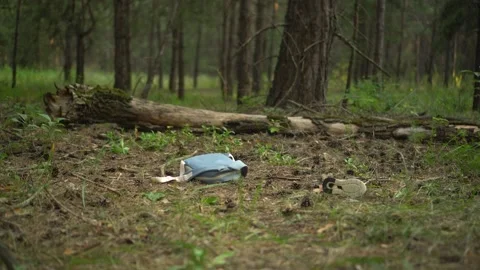 Lost Child's Backpack and Sneaker on the Forest Floor Critical Evidence Stock Footage 343894162