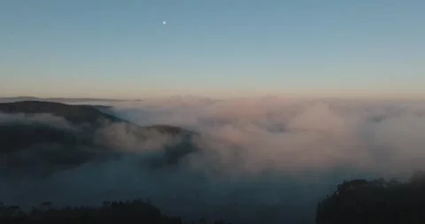 Lost in the Clouds: Stunning Drone Views of Foggy Forests	 Stock Footage 300221589