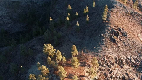 Lost Crashed Plane after plane crash and search Stock-Footage 151419435