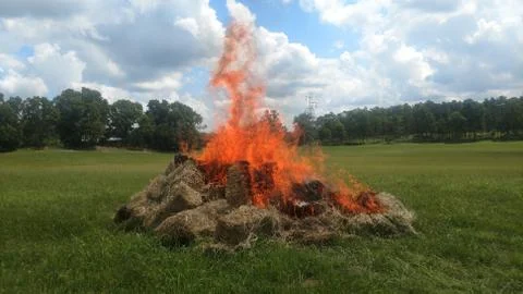 Lost Crop Stock Photos