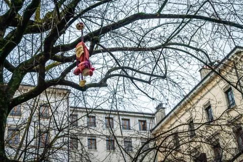 Lost cuddly toy in a tree Foto stock
