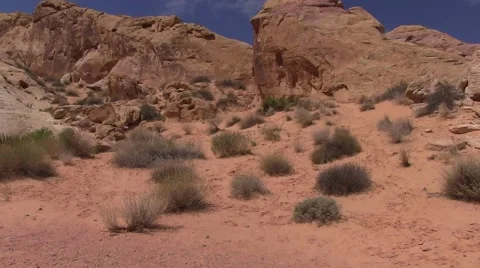 Lost in the desert Video stock 50704277