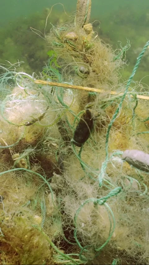 Underwater Fishing Net Stock Video Footage