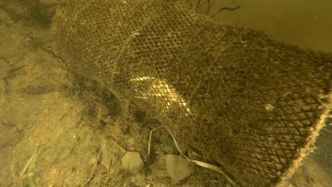 Lost fishing trap continue to kill animals. Problem of ghost gear - any fishing  Stock Footage 149833787