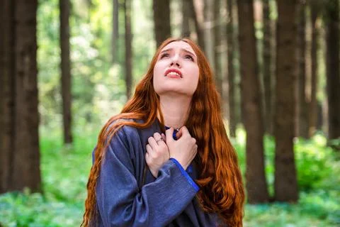 Lost in the forest Stock Photos