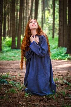 Lost in the forest Stock Photos