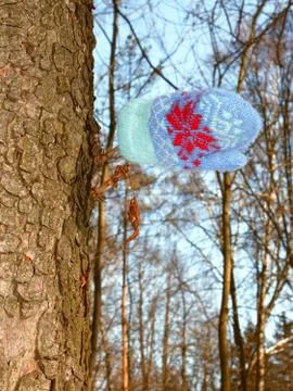 Lost glove Stock Photos