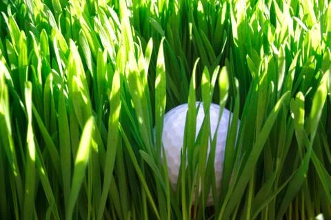 Lost Golf Ball Stock Photos