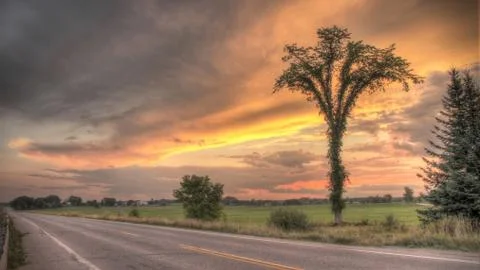 Lost Highway Stockfoto's