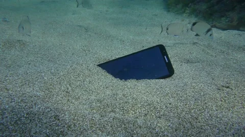 A lost Huawei smartphone on a sandy bottom surrounded by a flock of sea bream Stock Footage 170512774