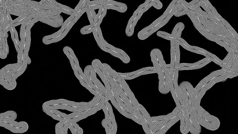 Lost in a Hypnotic Visual Loop Stock Footage 290375912