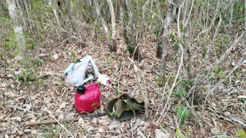 Lost Items In The Woods Stock Photos
