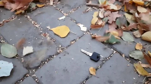 Lost key in fall autumn leaves. The wind blows off the leaf. Horizontal closeup Stock Footage 145550391