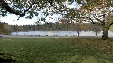 Lost lagoon autumn Stock Footage 96405045