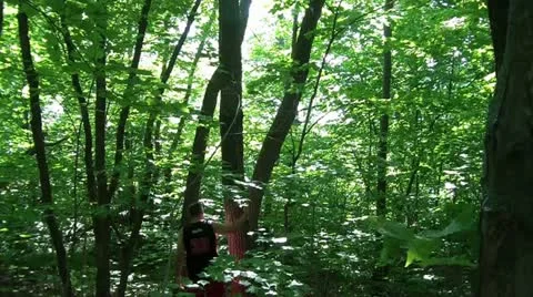 Lost-man-climbs-tree-to-see 스톡 동영상 12620960