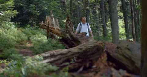 The lost man hiker with backpack is looking for the way in rainforest with the Stock Footage 87795695
