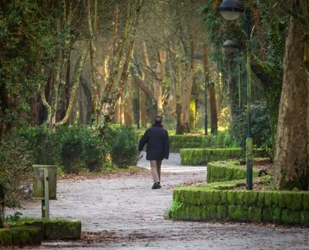 Lost Man in the Park Stock Photos