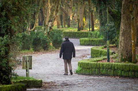 Lost Man in the Park Stock Photos