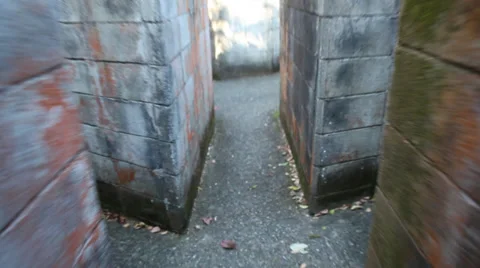 Lost in the maze Stock-Footage 32940281