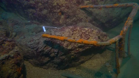 Lost Mobile Phone Between Rocks Underwater Stock Footage 143588335