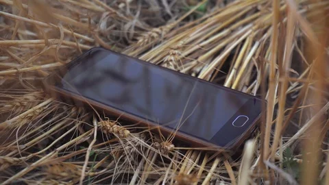 Lost mobile phone in field is ringing Stock Footage 92789462