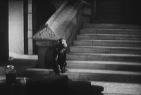 Lost monkey walking up staircase in mansion, 1950s Vidéo 95347033
