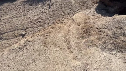 Lost-palms-oasis-pov-trail-natural-sound-4k.mp4 Vídeos de archivo 336004370
